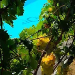 Poggio Dei Gorleri * דיאנו מרינה