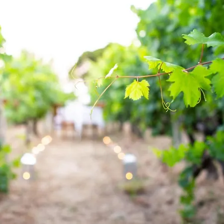 Poggio Dei Gorleri * Diano Marina